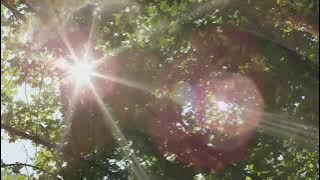 Muhammadun || Official music video #audio,#mp3,#mp4,#musik,#video,#sholawat,#4k,#indonesia,#lirik