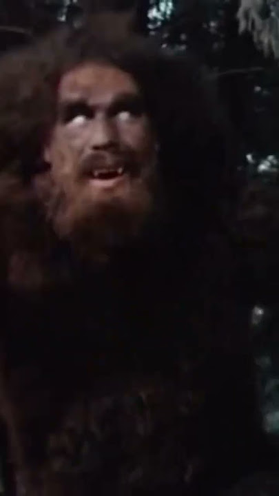 SIX MILLION DOLLAR MAN VS. BIGFOOT