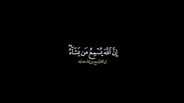 وما يستوي الاعمى والبصير / القارئ أحمد عبد الرازق نصر #قرآن#قرآن_الكريم