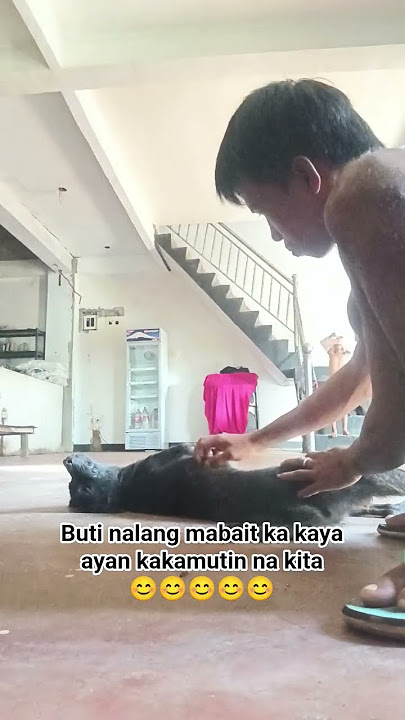 Grabi to si negra nag pa kamot sakin😊😊#youtubeshorts #viral #viralreels #youtubevideo #viralvideo