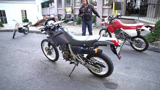 1988 Honda NX650