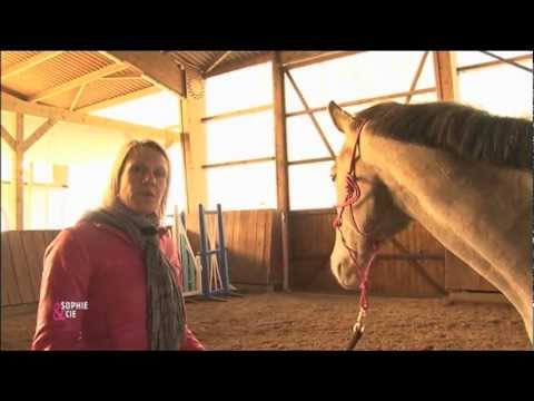 Vidéo: Faut-il garder un cheval boiteux ?