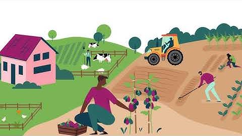 RURALIZATION H2020 project - The opening of rural areas to renew rural generations, jobs and farms