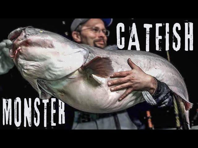 Missouri River MONSTER Blue Catfish - Fishing Heavy River Current 