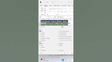 Excel Tip: Paste Special - Auto Column Widths in 60 Seconds! | Excel_and_PowerBI | #shorts  #excel