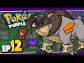 Pokemon purple shine part 12 we back gameplay walkthrough