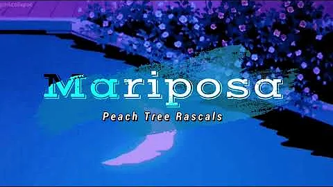 Peach Tree Rascals - Mariposa // (Lyrics) //