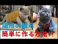 猫用の服を簡単に作る方法!!