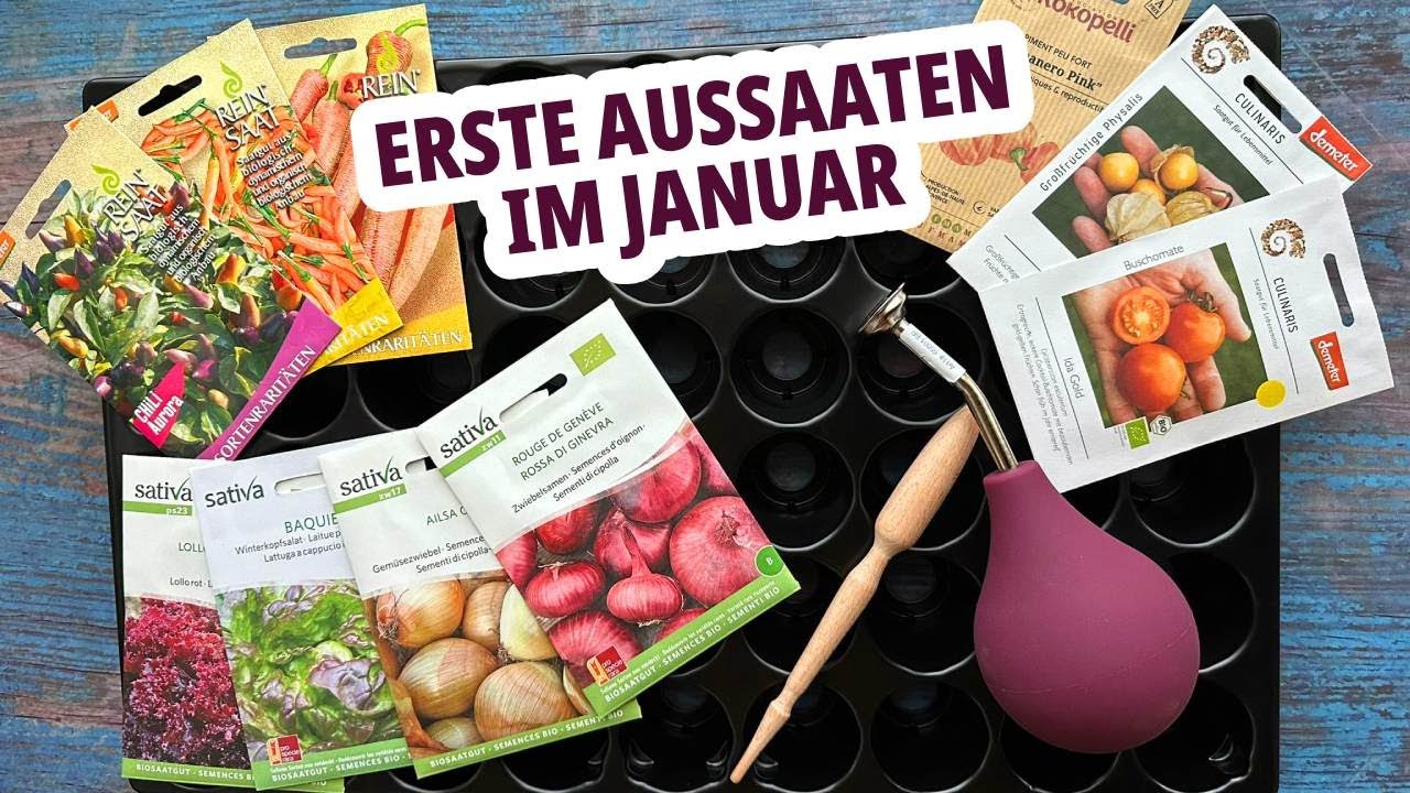 Was kann man im Januar säen? Tipps und Tricks für die frühe Anzucht