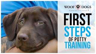 First steps of potty training - Part 3 of 4