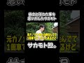 彼女と別れた事を思い出したサカモト #youtubeshorts #サカモト #shorts