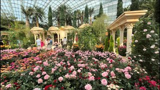 Rose Romance - Flower Dome | GARDENS BY THE BAY 2024