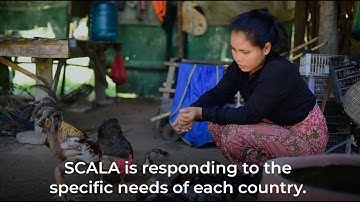 The SCALA Programme Story