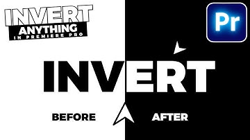 How To INVERT COLORS In Premiere Pro