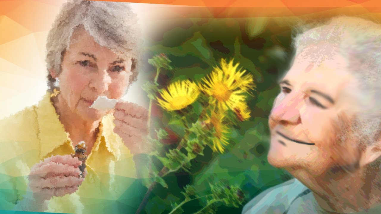 Alternative Hospice in Fenton MO Essential Oils and Aromatherapy