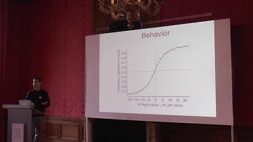 Timothy Hanks - Neural circuit analysis during an accumulation of evidence decision task