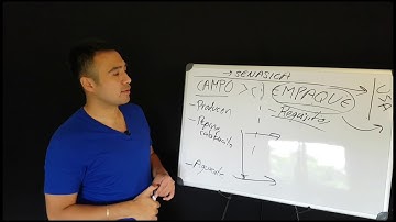 Cómo exportar sin ser productor