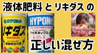 リキダスと液体肥料の正しい混ぜ方ハイポネックス社から教わりました