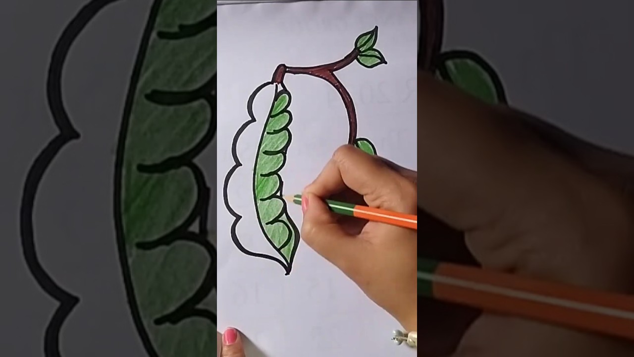 "🍃 Cute Matar Drawing | Easy Peas Drawing for Kids | Fun Art Idea ✏️