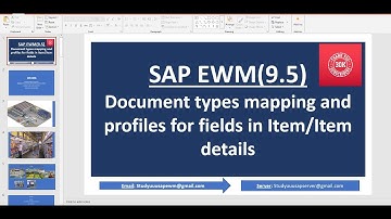 SAP EWM : Document types mapping and profiles for fields in Item/Item details