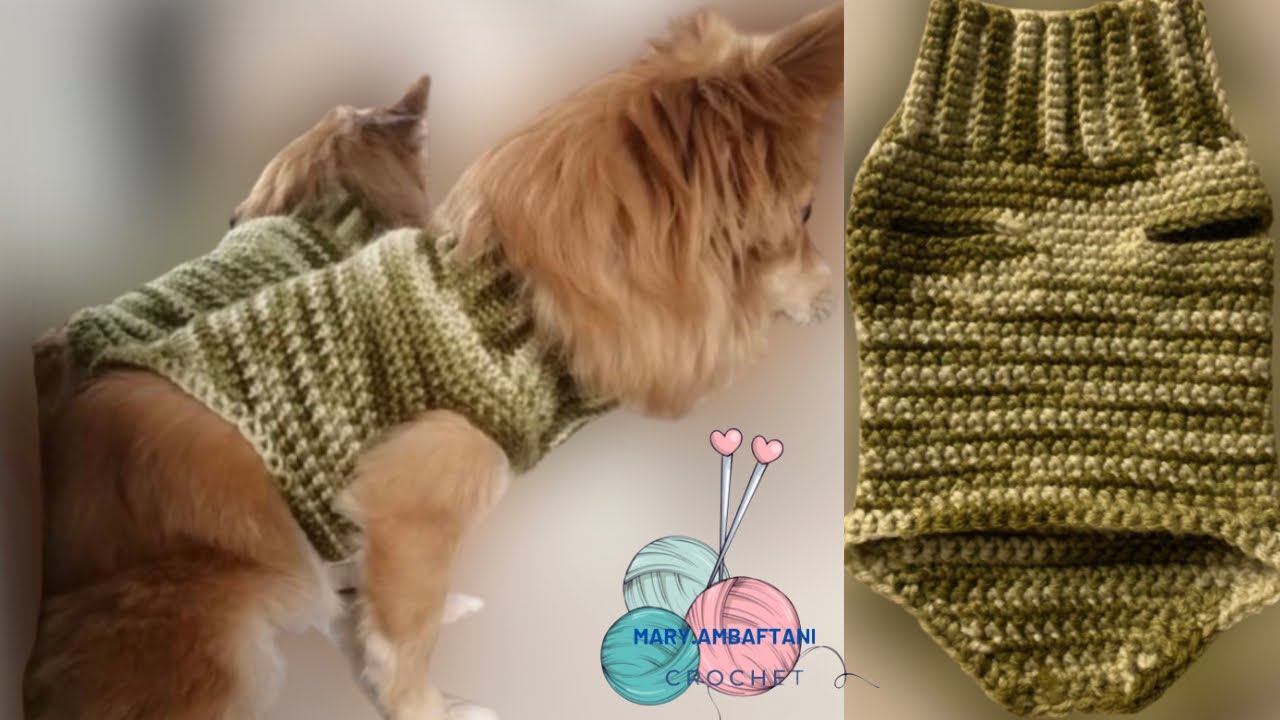 آموزش بافت پیراهن پت🐶🐶/crochet a dog sweater
