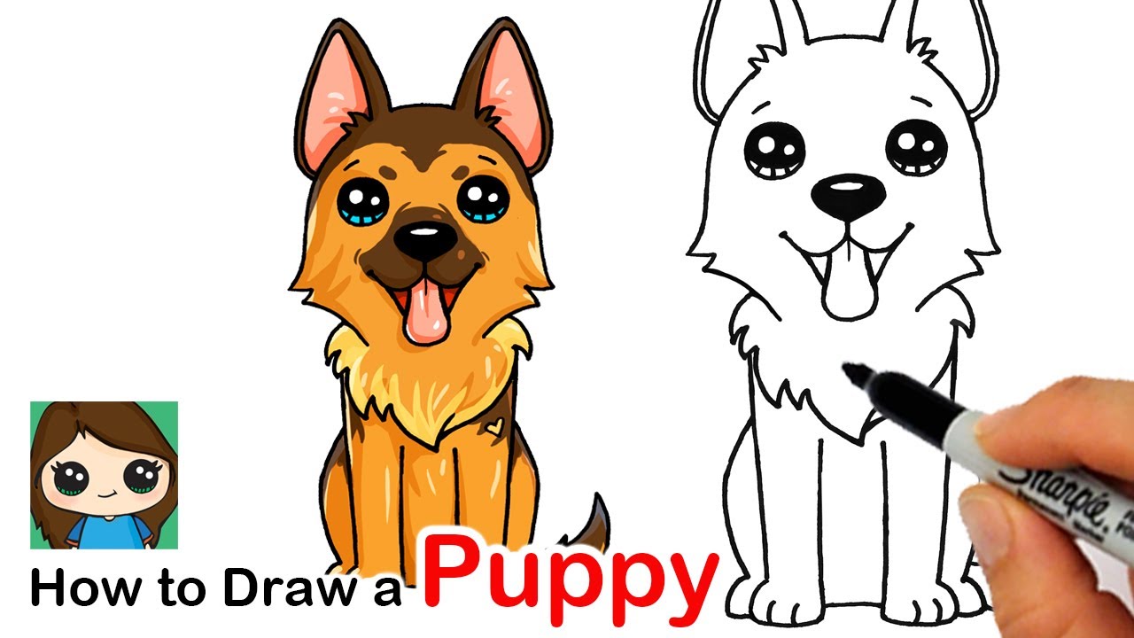 to Draw a German Shepherd Puppy Easy 