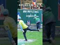 Wil This Ever Happen Again?🤯 #dingersornothing #wiffleball #baseball #shorts