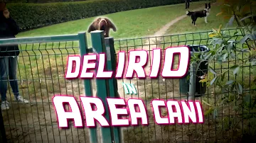 Quanto tempo si può stare nell'area cani?