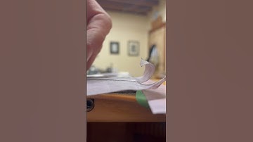 creating fall-away. ASMR lutherie #shorts