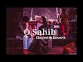 Abdullahpur Ka Devdas - O Sahib OST - Bilal Abbas, Sarah Khan, Raza Talish - Slowed & Reverb 🥺