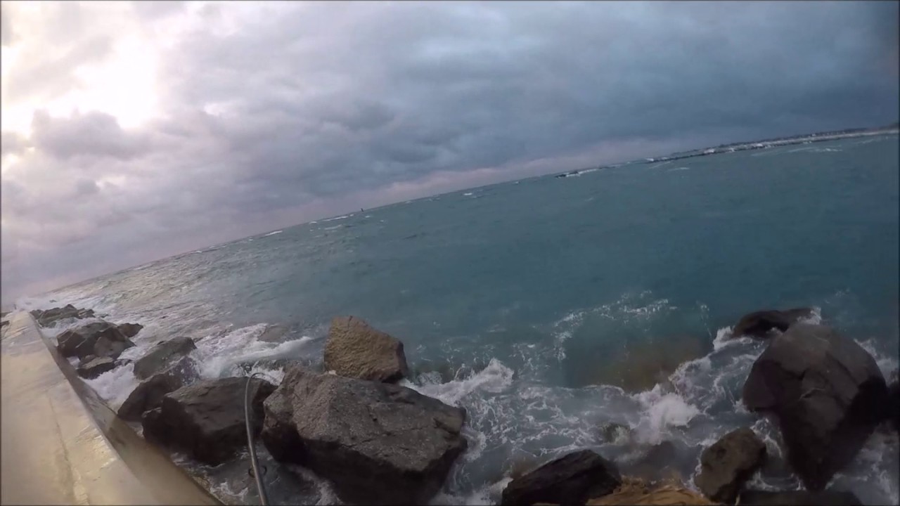 Jacks on Yo-Zuri Surface Cruiser - Stuck on Land