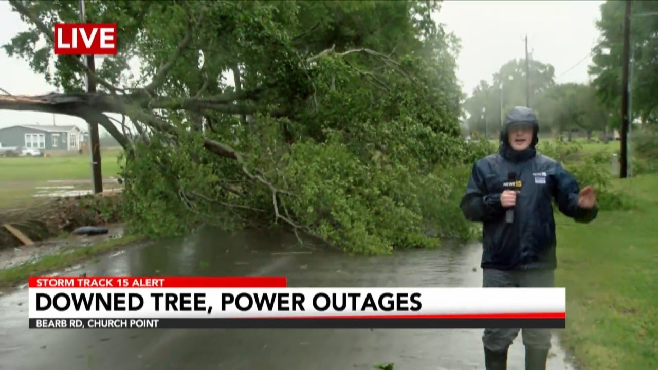 Tree falls in Church Point, knocks out power - YouTube