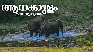 ആനക്കുളം | The Land of Wild Elephants | Anakulam, Idukki | Kerala