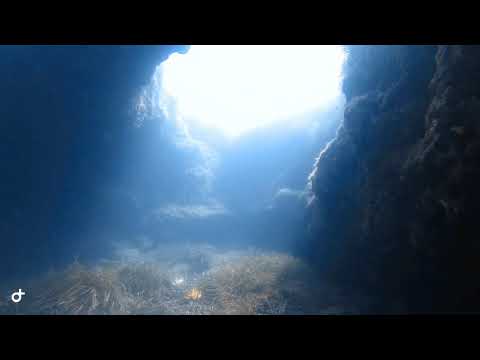 Cirkewwa's right arch Swim Through | NDS Malta