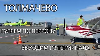 В Толмачево на Cessna 172. Оставили самолет на перроне, как пройти обратно?