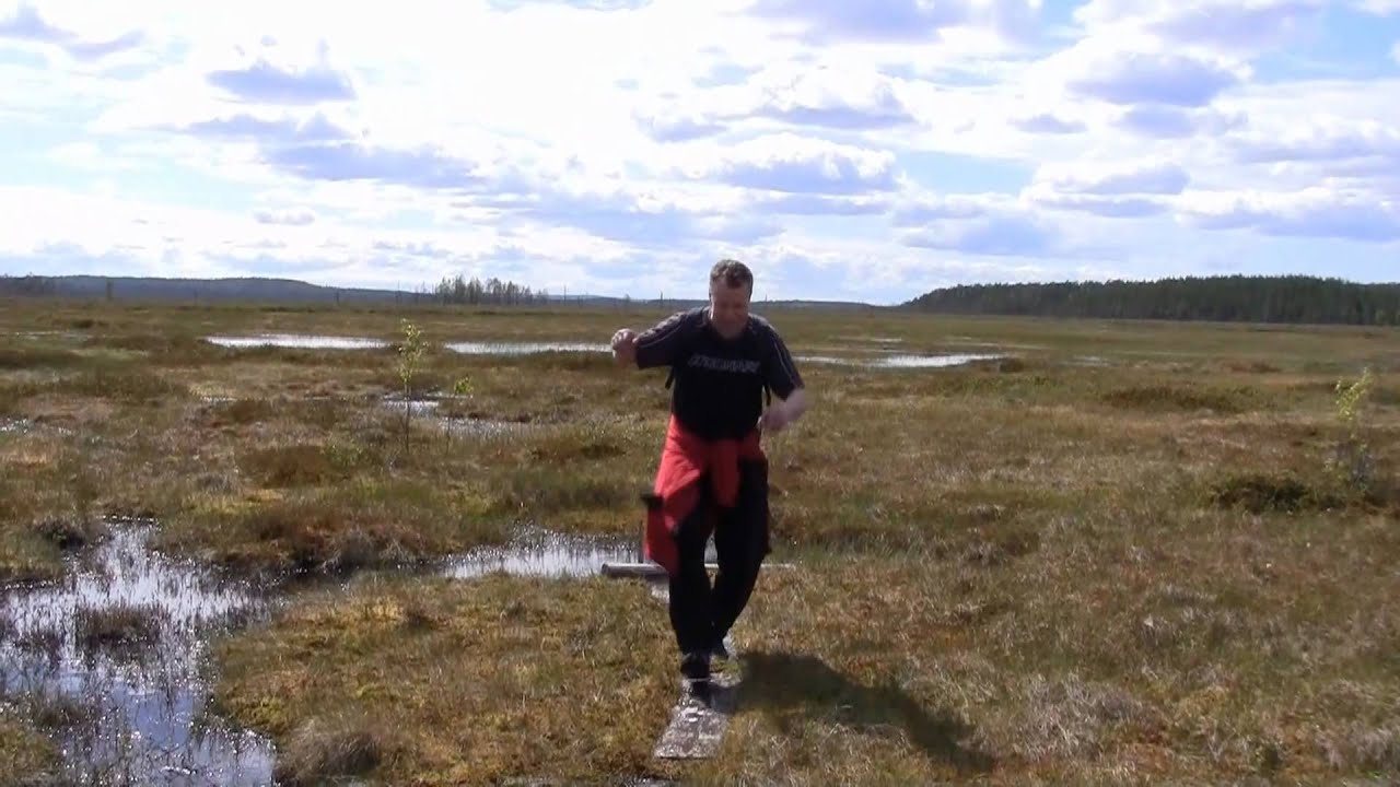 Patvinsuon kansallispuisto - Teretti (Patvinsuo National Park)