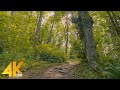 4K Sunny Day Walk along the Eco Peak Loop Trail, Renton, WA - Virtual Hike with Relaxing Piano Music