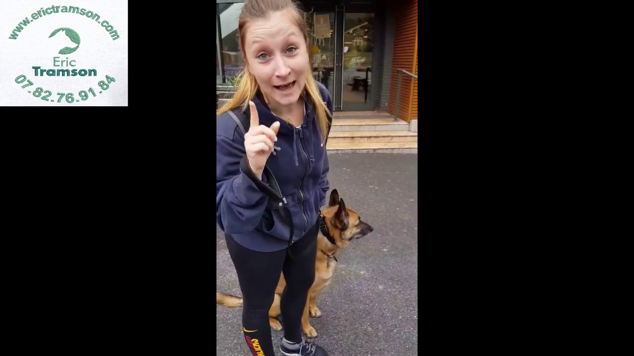 EVOLUTION DU CHIEN JAMES/AGRESSIF SOUS PROSAC/TYROIDE/ERIC TRAMSON - YouTube