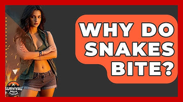Why Do Snakes Bite? - Survival Skills for Everyone