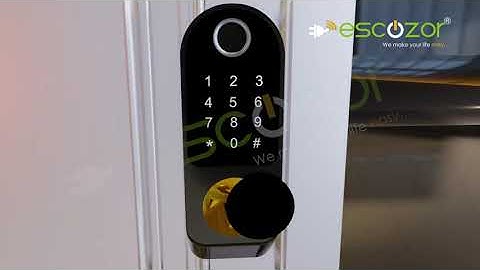 Smart Digital Door Lock With Fingerprint, Password,RFID Card & Mechanical Key M010 by Escozor