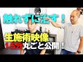 【生施術映像】触れずに治す"2つ"のエネルギー治療を公開!