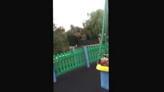 Devon's Crealy- Honey Swing- POV