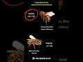 Haploid-Diploid Mechanism | Clear Concepts Now | Neha Ma’am Teaches Smartly #biology #haploid #bio