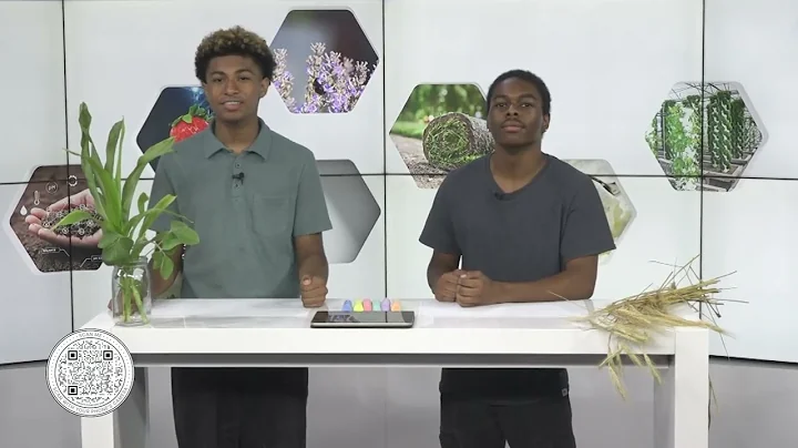 The More You Grow: Precision Agriculture (short form)