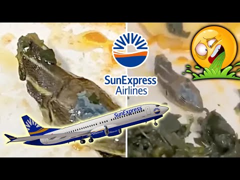 Flight Attendant Claims Snake Head Found In Plane Meal, Airline Launches Investigation