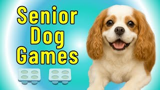 DIY Dog Enrichment for Senior Dogs Using a Muffin Tin Puzzle Game Indoors