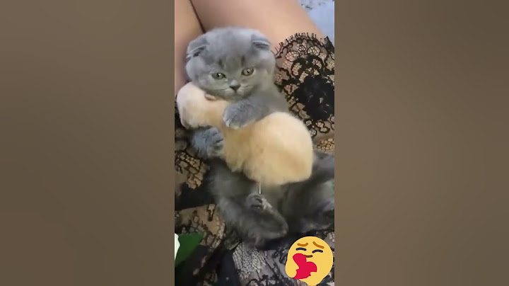 Вот так выглядит настоящая любовь😻