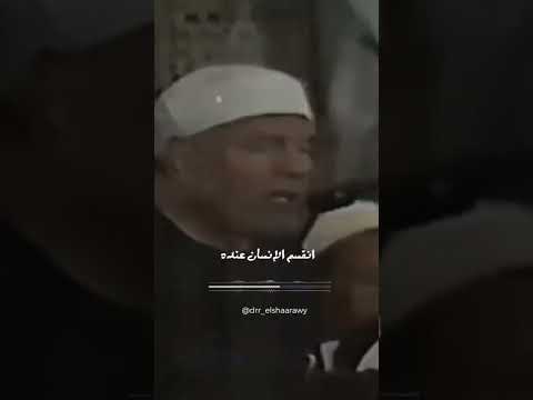 شاهد الشيخ الشعراوي والاحتفال بالمولد النبوي على خطى النبي المولد النبوي الشريف المولد النبوي