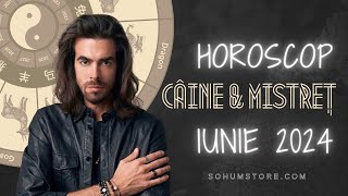 : HOROSCOPUL CHINEZESC pentru luna Iunie 2024 | C^AINE & MISTRET: Evita suprasolicitarea si epuizarea