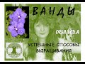 ОРХИДЕИ ВАНДЫ _ УСПЕШНЫЕ СПОСОБЫ ВЫРАЩИВАНИЯ _